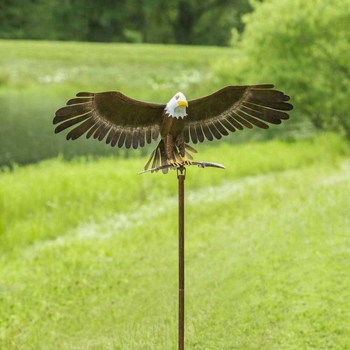 Bald eagle metal - metal, wind